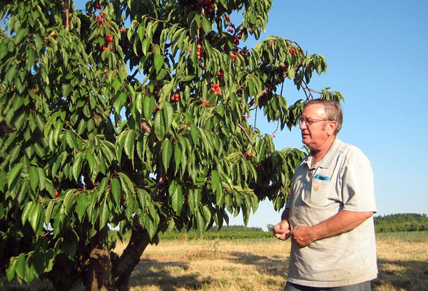 Wholesale Certified Organic Apples WNY